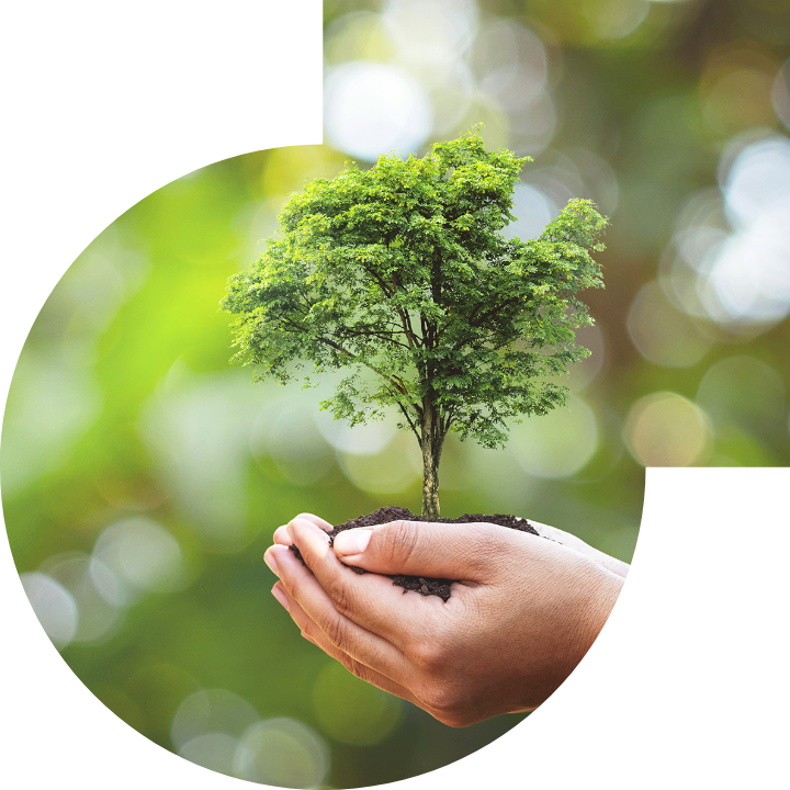 關懷人類、文化、環境與社會